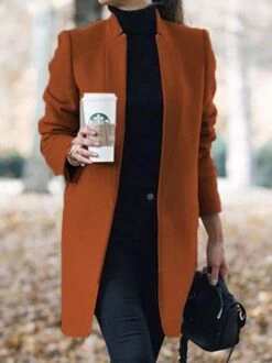 Loose Plain Casual H-Line Long Sleeve Winter Long Sleeve Coat 13 Loose Plain Casual H-Line Long Sleeve Winter Long Sleeve Coat -Zolucky Sales Store 5604665e24cffcb92b0485976fc90804